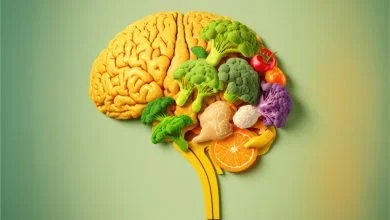 Los peores alimentos para tu cerebro